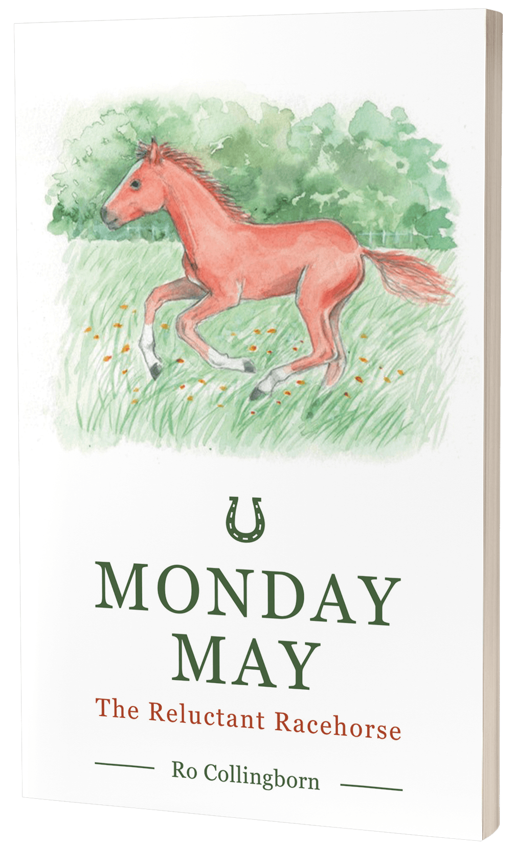 Monday May - The Reluctant Racehorse by Ro Collingborn
